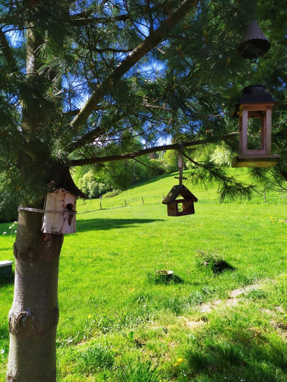 Beba Villa Hermanovice Kültér fotó